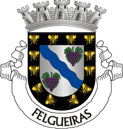 Escudo de prata, com uma banda ondada de azul acompanhada de dois cachos de uvas de púrpura, folhados de verde, bordadura de negro carregado de 12 abelhas de ouro. Coroa mural de cinco torres de prata e listel branco com a palavra "Felgueiras" a negro.