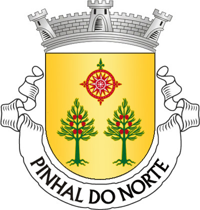 Escudo de ouro, dois pinheiros arrancados, de verde, frutados de vermelho; em chefe, rosa dos ventos de vermelho, realçada de prata, com o rumo do Norte de verde. Coroa mural de prata de três torres. Listel branco, com a legenda a negro: "PINHAL do NORTE". 