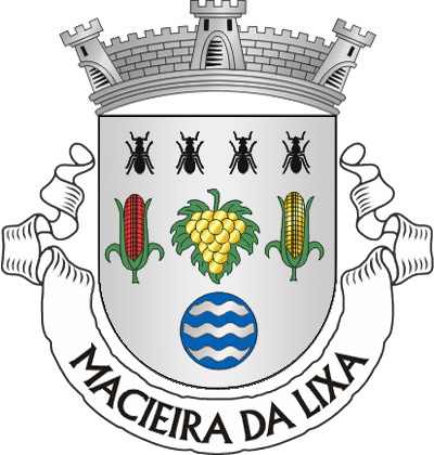 Escudo de prata, um cacho de uvas de ouro, sustido  de verde, entre duas espigas de milho, e da dextra de vermelho  e a da sinistra de ouro, ambas folhadas de verde; em chefe,  quatro formigas de negro, postas em pala e alinhadas em faixa  e, em campanha, fonte heráldica. Coroa mural de prata de  três torres. Listel branco, com a legenda a negro: «MACIEIRA  DA LIXA».