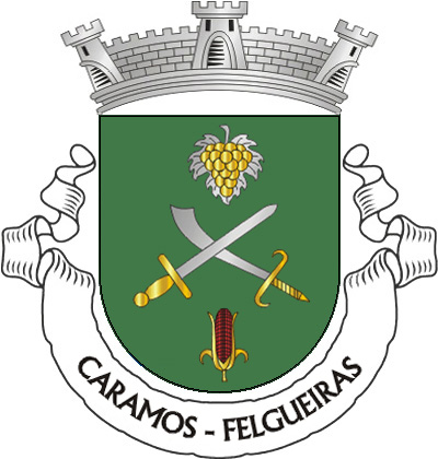 Escudo de verde, uma espada e um alfange de prata,  guarnecidos de ouro, passados em aspa, entre um cacho  de uvas de ouro, folhado de prata, em chefe e uma  espiga de milho vermelho, folhada de ouro, em ponta.  Coroa mural de prata de três torres. Listel branco, com a  legenda a negro: «CARAMOS - FELGUEIRAS».