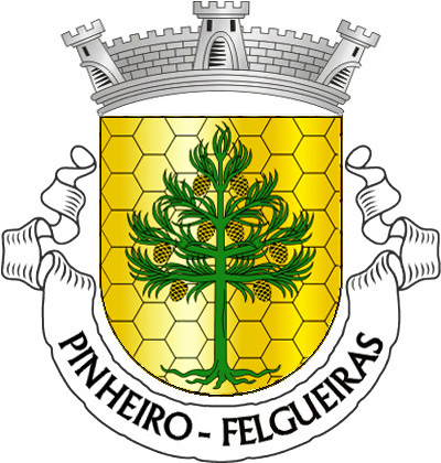 Escudo de ouro, adamascado em favos de mel de  negro, com um pinheiro de verde, arrancado do mesmo e  frutado de negro. Coroa mural de prata de três torres. Listel  branco, com a legenda a negro: «PINHEIRO - FELGUEIRAS». 