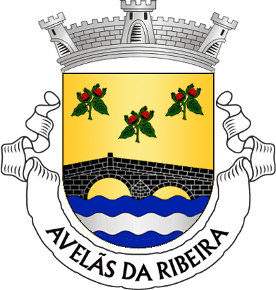 Escudo de ouro, ponte antiga de dois arcos de negro, lavrada de prata, movente dos flancos e de campanha ondada de três peças de azul e prata; em chefe, três ramos de aveleira de verde, frutados de vermelho, bem ordenados. Coroa mural de prata de três torres. Listel branco, com a legenda a negro: «AVELÃS da RIBEIRA».