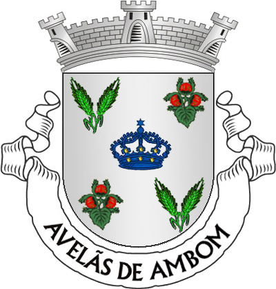 Escudo de prata, coroa mariana de azul, guarnecida de ouro, acantonada de dois ramos de duas espigas de centeio de verde e dois ramos de aveleira do mesmo frutados de vermelho, postos alternadamente em chefe e em campanha. Coroa mural de prata de três torres. Listel branco, com a legenda a negro: «AVELÃS de AMBOM». 