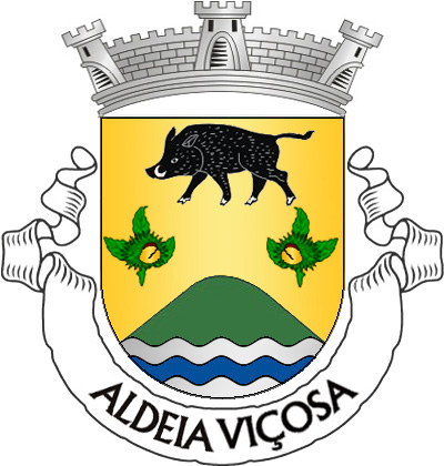 Escudo de ouro, javali passante, de negro, armado de prata e dois ramos de castanheiro de verde com frutos de ouro, rachados de vermelho, tudo alinhado em roquete; em campanha, monte de verde movente de um pé ondado de três peças ondadas de prata e azul. Coroa mural de prata de três torres. Listel branco, com a legenda a negro: «ALDEIA VIÇOSA». 