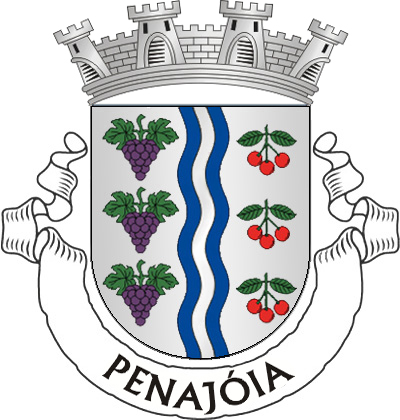 Escudo de prata, pala ondada de azul e prata de três tiras, acompanhada à dextra de três cachos de uvas de púrpura, folhados de verde à sinistra de três ramos de cerejeira de verde, frutados de vermelho, tudo alinhado em pala. Coroa mural de prata de três torres. Listel branco, com a legenda a negro: "PENAJÓIA". 