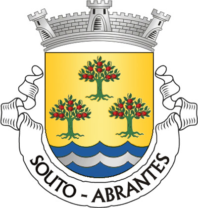 Escudo de ouro, três castanheiros arrancados de verde, ouriçados de vermelho, dispostos em roquete; campanha ondada de azul e prata de três tiras. Coroa mural de prata de três torres. Listel branco, com a legenda a negro: «SOUTO - ABRANTES».