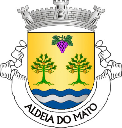 Escudo de ouro, cacho de uvas de púrpura folhado de verde e dois pinheiros arrancados de verde, frutados do campo, tudo disposto em roquete; campanha ondada de azul e prata de três tiras. Coroa mural de prata de três torres. Listel branco, com a legenda a negro: «ALDEIA do MATO». 