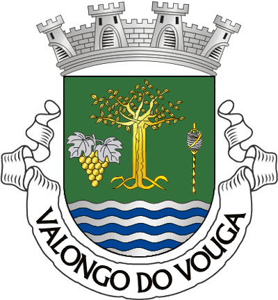 Escudo de verde, árvore de ouro, arrancada do mesmo, entre um cacho de uvas de ouro, folhado de prata, e uma roca de ouro, enrolada de prata, tudo realçado de negro; campanha ondada de sete burelas de prata e azul, Coroa mural de prata de quatro torres aparentes, abertas, lavradas e frestadas de negro. Listel de prata com a legenda em maiúsculas de negro "Valongo do Vouga".