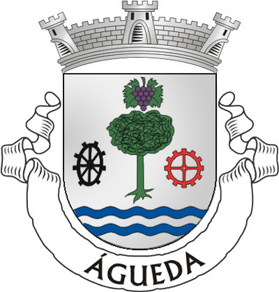 Escudo de prata, uma árvore de copa arredondada, arrancada, de verde, entre uma roda dentada de vermelho e uma armação de nora de negro; em chefe, cacho de uvas de púrpura, folhado de verde; campanha ondeada de azul e prata. Coroa mural de prata de três torres. Listel branco com a legenda em maiúsculas de negro : ?ÁGUEDA?. 