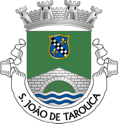 Escudo de verde, ponte de prata de um arco, lavrada de negro, movente dos flancos e de um contra-chefe ondado de prata e azul, debruado de ouro, escudete de púrpura com banda enxaquetada de prata e negro acompanhada em chefe e em ponta de duas flores-de-lis de ouro.
Coroa mural de prata de quatro torres. Listel branco, com a legenda a negro: «SÃO JOÃO DE TAROUCA». 