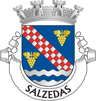 Escudo de azul, banda enxaquetada de prata e vermelho de três tiras, acompanhada de dois cachos de uvas de ouro; campanha ondeada e faixada de prata e azul. Coroa mural de prata de quatro torres. Listel branco com a legenda a negro, em maiúsculas : “SALZEDAS“. 