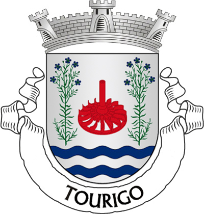 Escudo de prata, roda de azenha de vermelho entre dois ramos de linho de verde, floridos de azul, postos em pala; campanha de quatro tiras ondadas de azul e prata. Coroa mural de prata de três torres. Listel branco, com a legenda a negro: «TOURIGO». 