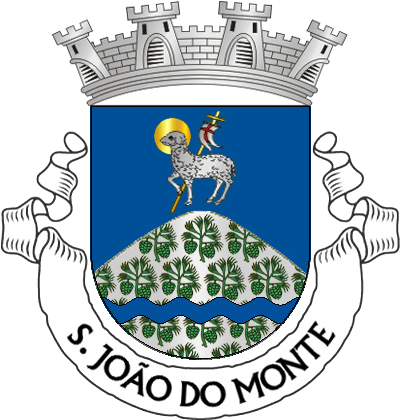 Escudo azul, monte de prata semeado de ramos de  pinheiro de verde, frutados do mesmo e carregado de uma  burela ondada de azul, em ponta; em chefe, Agnus Dei de  prata, nimbado de ouro, sustentando uma vara crucífera do  mesmo com lábaro de prata carregado de uma cruz firmada  de vermelho. Coroa mural de prata de quatro torres.  Listel branco, com a legenda a negro: «S.JOÃO DO MONTE». 