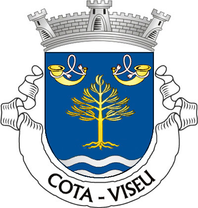 Escudo de azul, pinheiro de ouro, arrancado do  mesmo; em chefe, duas trompas de caça de ouro, com corda  de prata, a da sinistra voltada; campanha ondada de prata e  azul de três tiras. Coroa mural de prata de três torres. Listel  branco, com legenda a negro: «COTA - VISEU». 