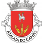 Escudo de vermelho, um feixe de três espigas de trigo de ouro; em chefe, Agnus Dei de prata, nimbado de ouro, sustendo na pata direita uma haste crucífera de ouro, com lábaro de prata carregado de uma cruz firmada de vermelho. Coroa mural de prata de quatro torres. Listel branco, com a legenda a negro: «ATALAIA do CAMPO». 