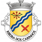 Escudo de ouro, barra ondada de azul e prata de três tiras, acompanhada de feixe de três setas abatidas, de vermelho, atadas de verde e de dois gládios alçados, de vermelho, realçados de prata e passados em aspa. Coroa mural de prata de três torres. Listel branco, com a legenda a negro: «RIBEIRA dos CARINHOS».