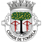 Escudo de prata com uma laranjeira de sua cor frutado de ouro, arrancada e com o tronco de negro e acompanhada de duas bestas de vermelho. Coroa mural de cinco torres de prata. Listel branco com legenda de negro : " CIDADE DE TONDELA ".