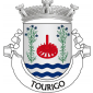 Escudo de prata, roda de azenha de vermelho entre dois ramos de linho de verde, floridos de azul, postos em pala; campanha de quatro tiras ondadas de azul e prata. Coroa mural de prata de três torres. Listel branco, com a legenda a negro: «TOURIGO». 