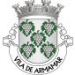 Escudo de prata com  cinco cachos de uvas de prata, realçados, sustidos e folhados de verde. Coroa mural de prata de quatro torres. Listel branco com os dizeres : " VILA DE ARMAMAR ", em letras de negro.